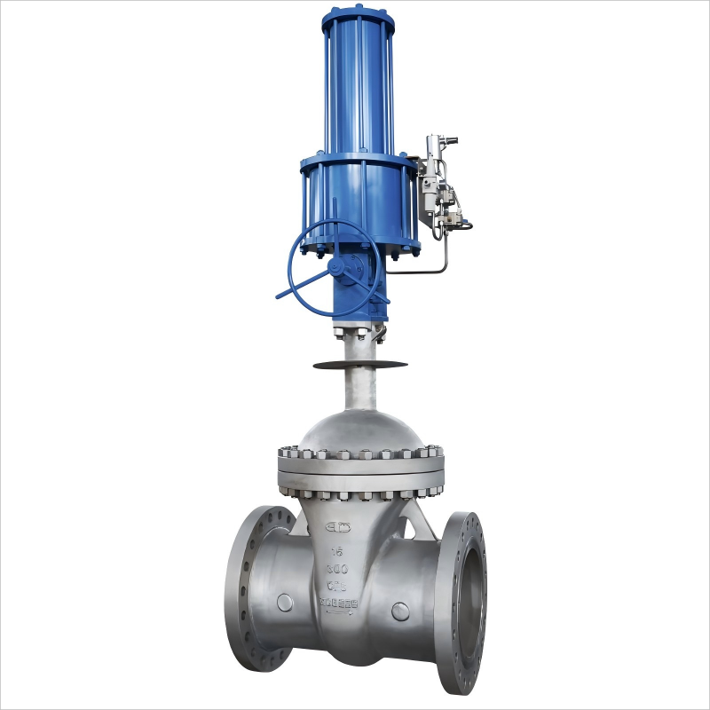 Cryogenic Pneumatic Gate Valve