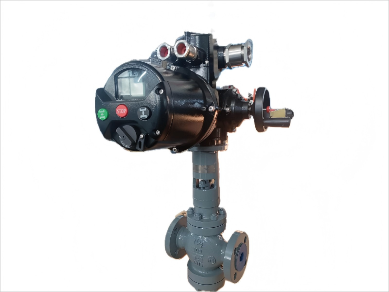 Electric Sludge Discharge Valve
