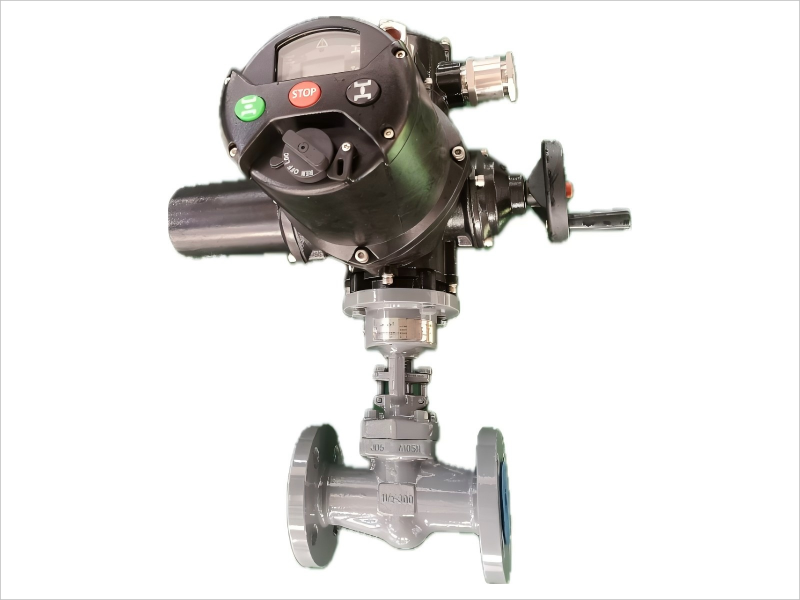   Electric globe valve