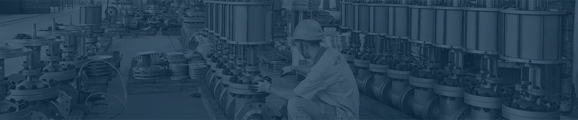 Professional Valve Manufacturer